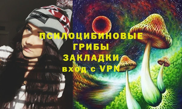 бошки Волосово